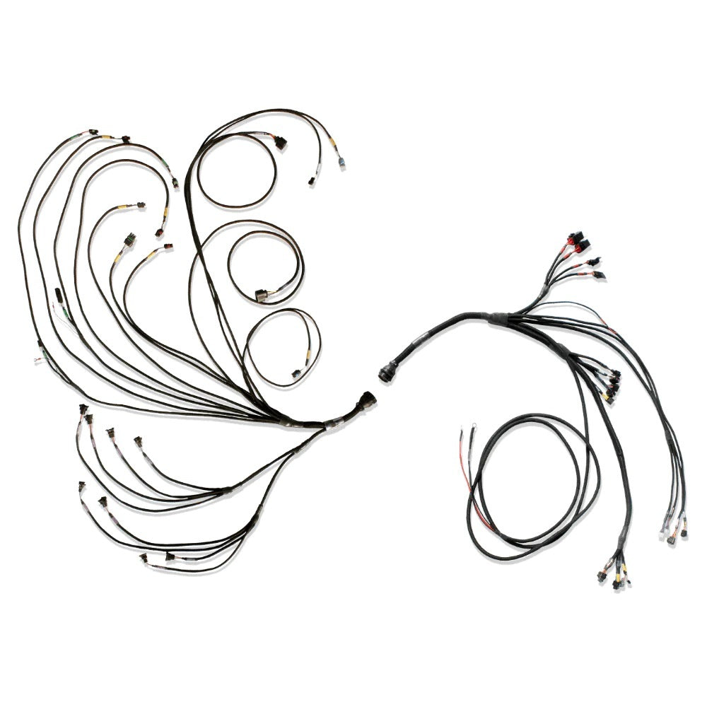 Fueltech USA PRO600 V8 Complete Wiring Harness