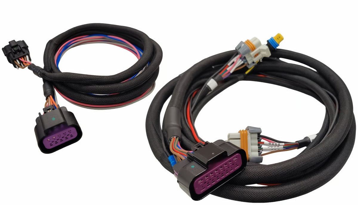 MSD Harness - LS Ignition Control Box