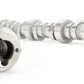 COMP Cams Stage 1 Hydraulic Roller Camshaft for Chevy Gen V LT1 6.2L