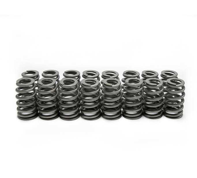 Brian Tooley Racing LS6 Beehive Springs .560 Lift (16)