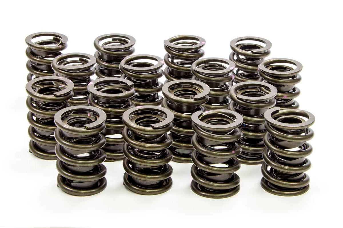 Isky Cams Dual Valve Springs w/Damper - LS1