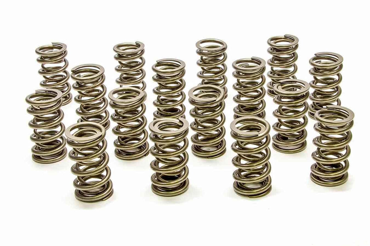 Pac Racing Springs 1.304 Dual Valve Springs - RPM Series (16)
