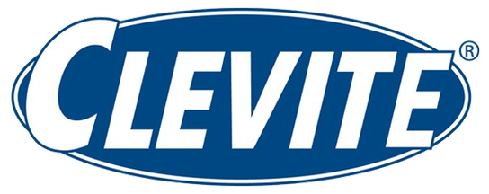 Mahle Clevite
